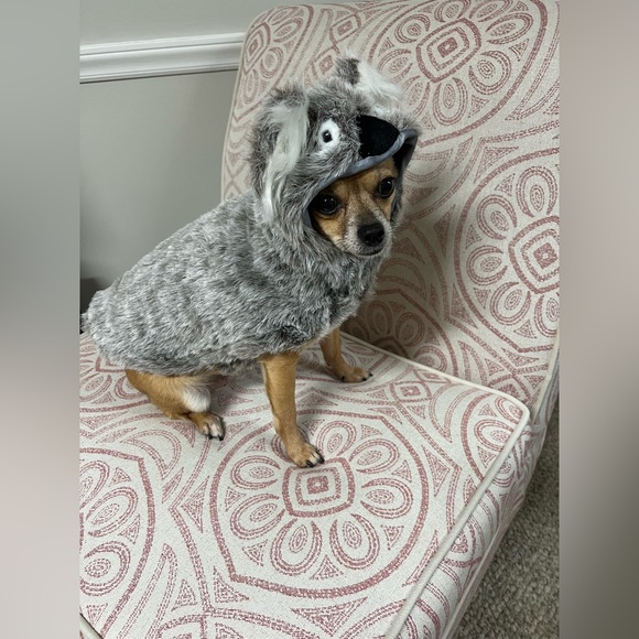 Fury Halloween Costume - Picture 9 of 10